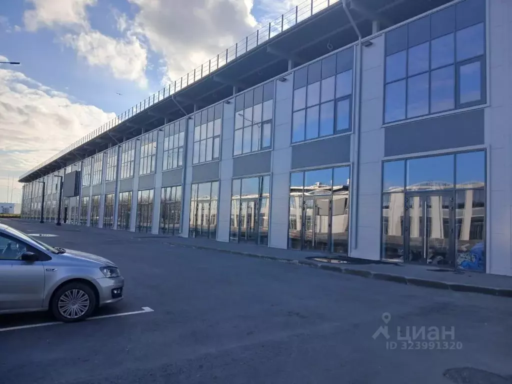 Торговая площадь в Ростовская область, Ростов-на-Дону просп. Шолохова, ... - Фото 1