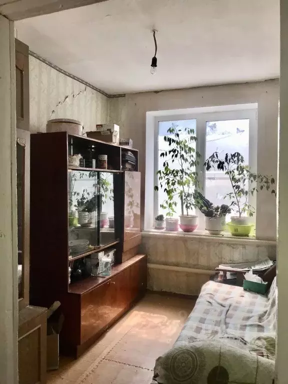 Дом в Волгоградская область, Волгоград Поселок Водный тер., ул. ... - Фото 1