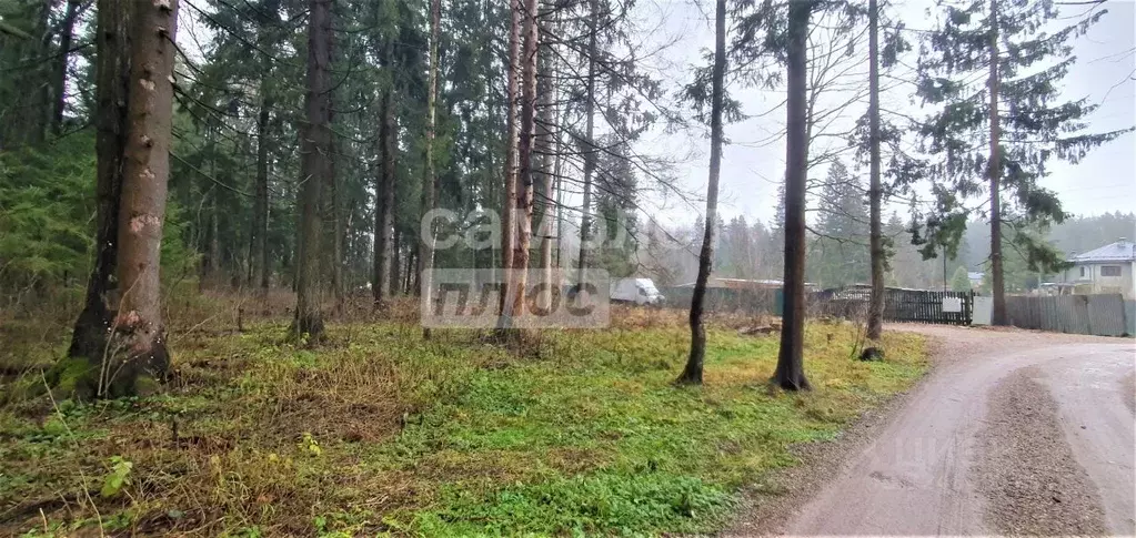 Участок в Московская область, Одинцовский городской округ, с. ... - Фото 0