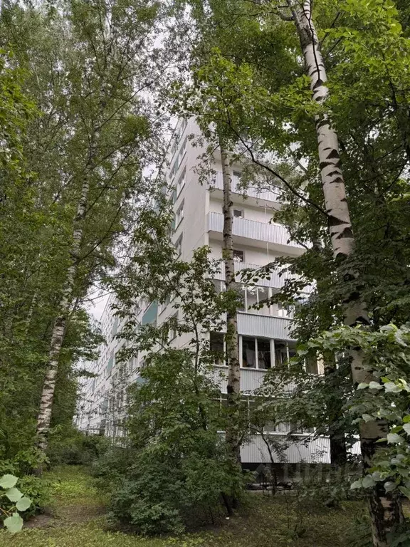 3-к кв. Санкт-Петербург ул. Вавиловых, 7К2 (54.0 м) - Фото 2