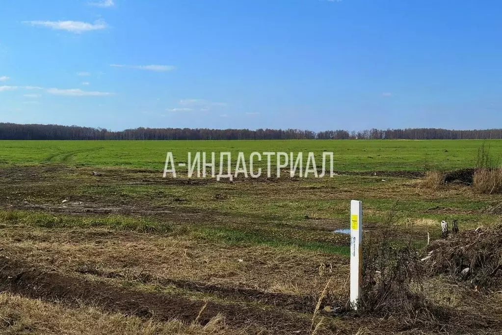 Участок в Московская область, Раменский муниципальный округ, пос. ... - Фото 1
