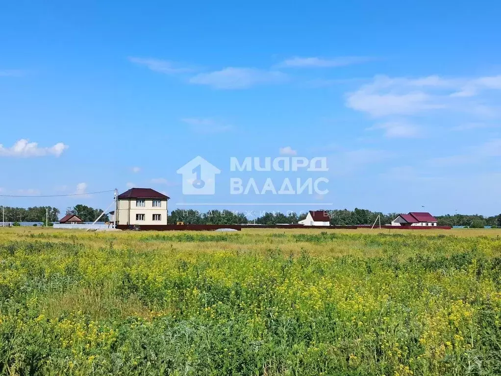 Участок в Омская область, Омский район, Дружинское с/пос, с. Красная ... - Фото 0