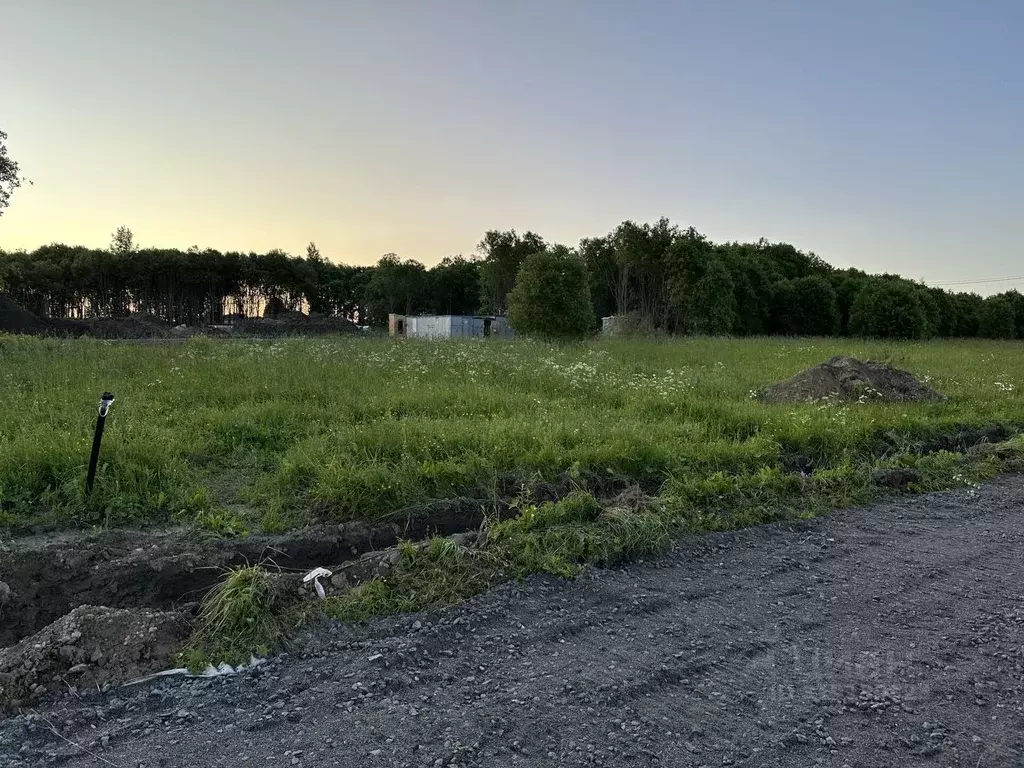 Участок в Ленинградская область, Всеволожский район, Романовское ... - Фото 0