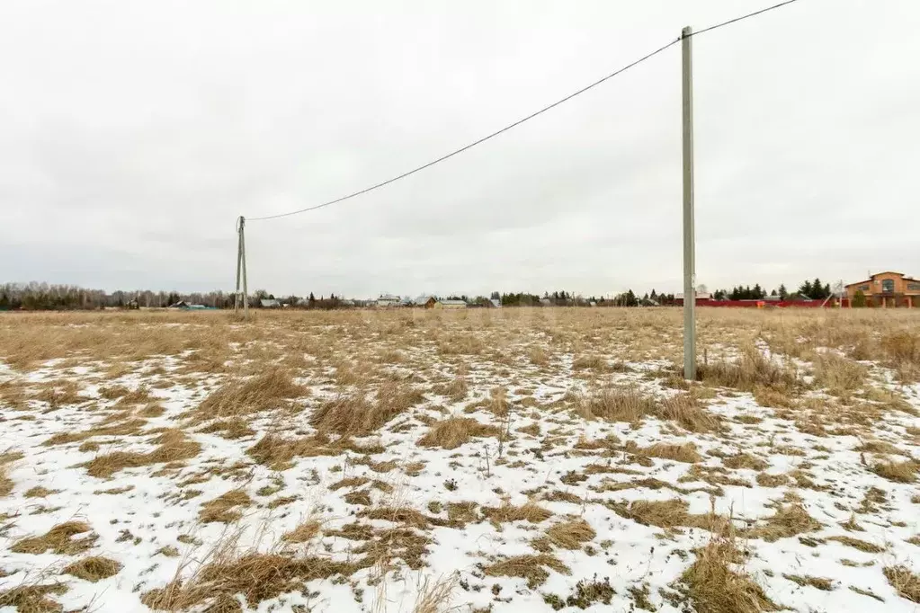 Участок в Тюменская область, Тюменский муниципальный округ, д. Речкина ... - Фото 1