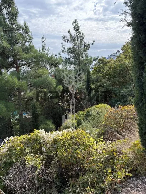 Участок в Крым, Алушта муниципальный округ, пос. Утес ул. Гагариной ... - Фото 2