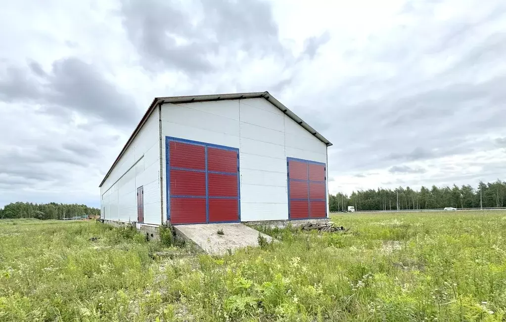 Помещение свободного назначения в Тульская область, Заокский район, ... - Фото 1