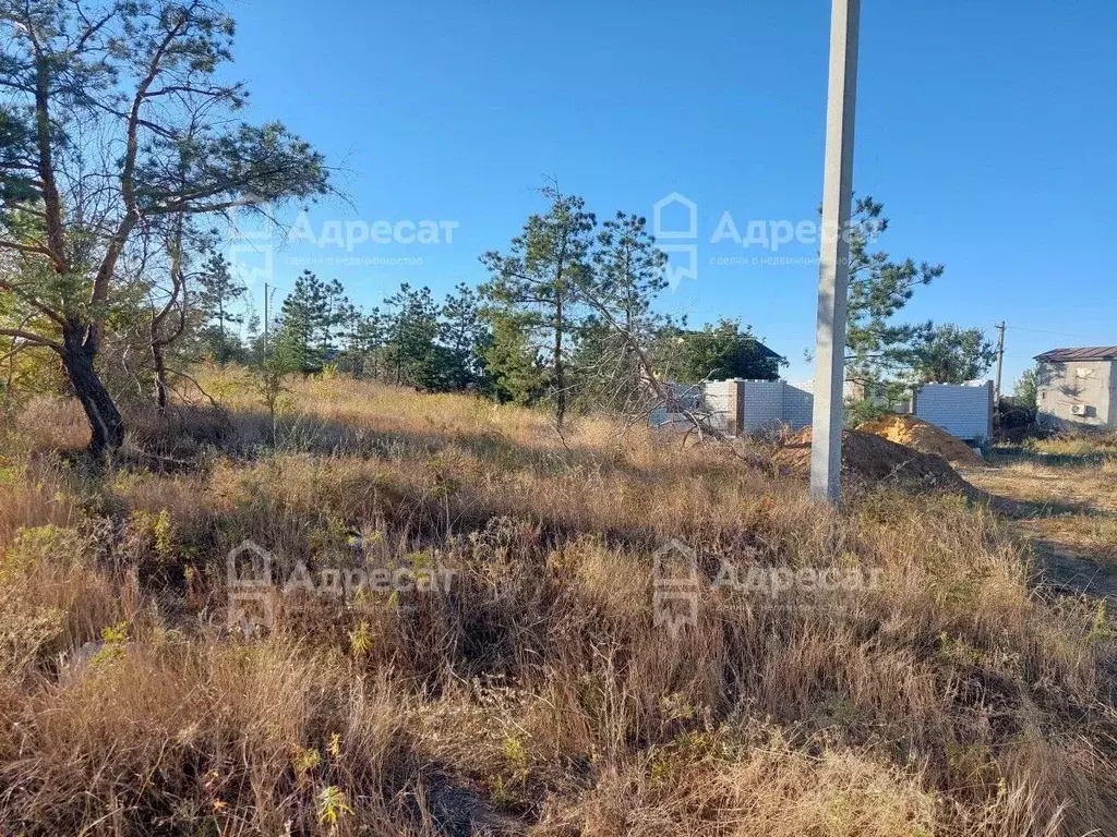 Участок в Волгоградская область, Волгоград Лазурное СТ,  (8.99 сот.) - Фото 1