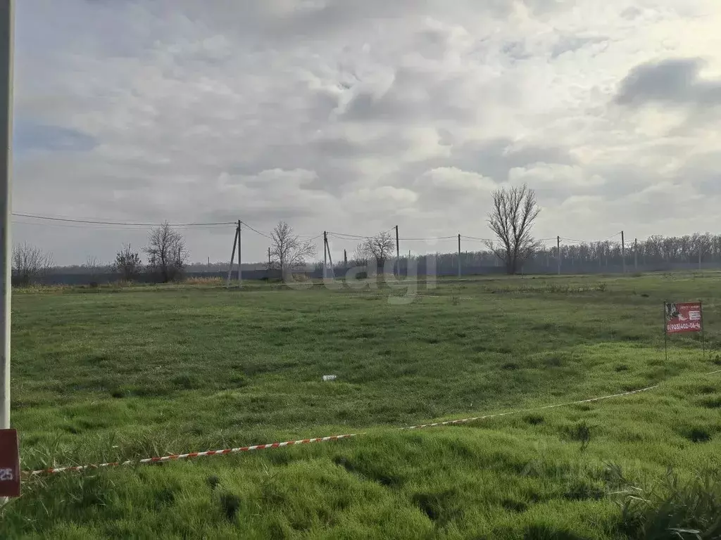 Участок в Ростовская область, Аксайский район, Ольгинское с/пос, ... - Фото 1