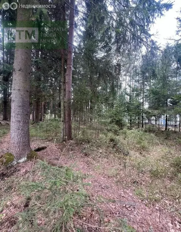 Участок в Всеволожск, микрорайон Сельхозколледж (40 м) - Фото 1