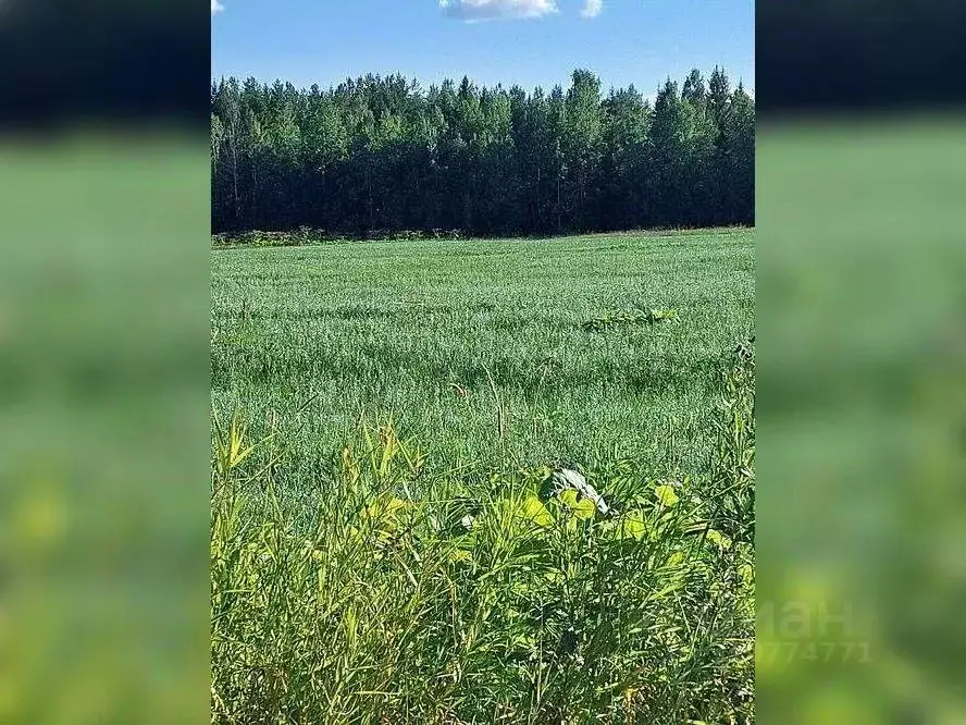 Участок в Коми, Сыктывдинский район, Пажга муниципальное образование, ... - Фото 1