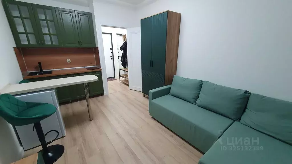 Студия Санкт-Петербург просп. Крузенштерна, 4 (24.0 м) - Фото 2