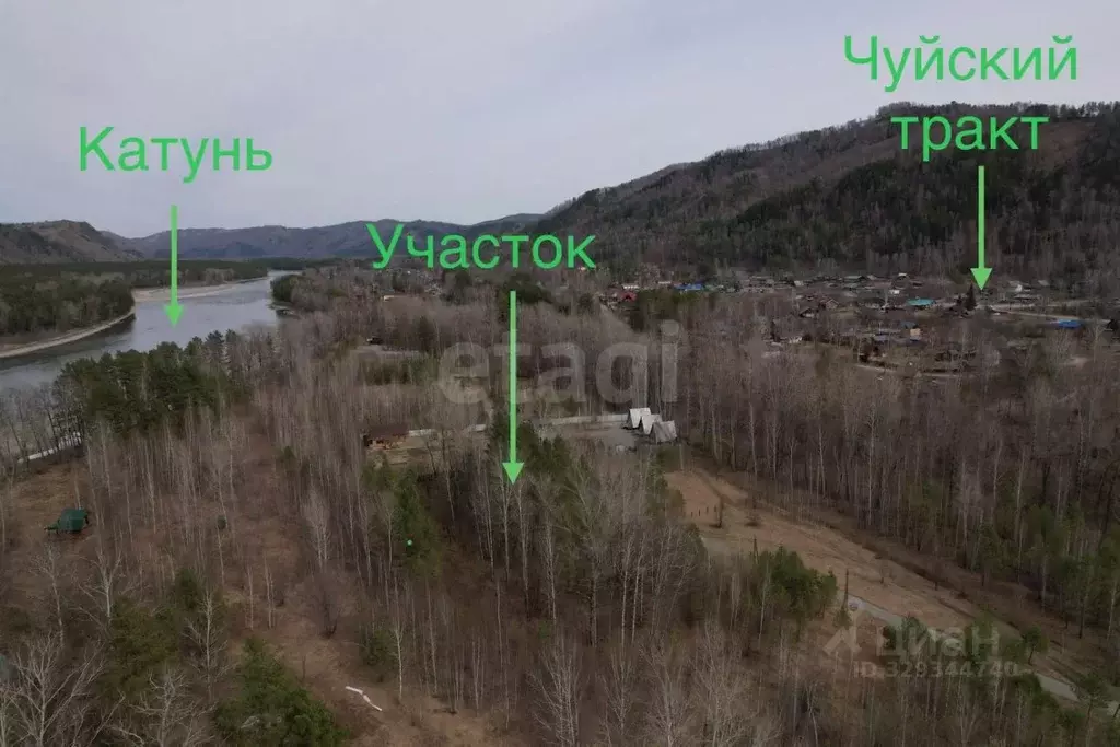 Участок в Алтай, Майминский район, Соузгинское с/пос, пос. Черемшанка ... - Фото 1