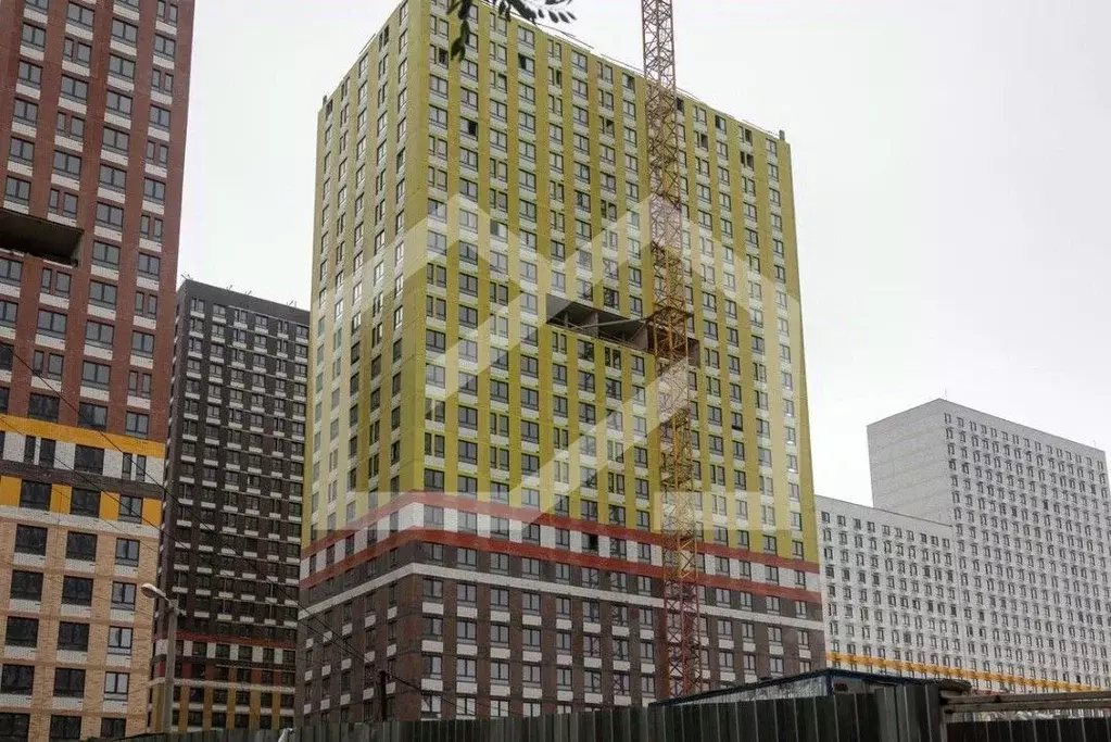 Помещение свободного назначения в Московская область, Котельники Белая ... - Фото 1