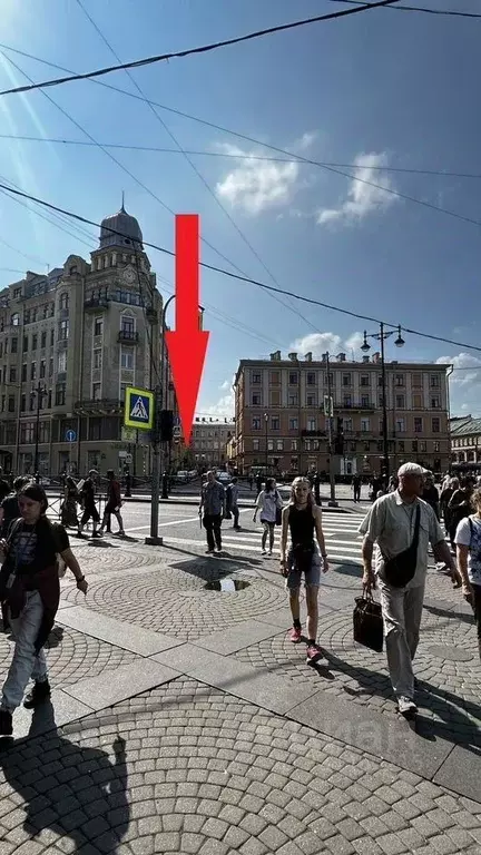 Помещение свободного назначения в Санкт-Петербург пер. Бринько, 4 (42 ... - Фото 1