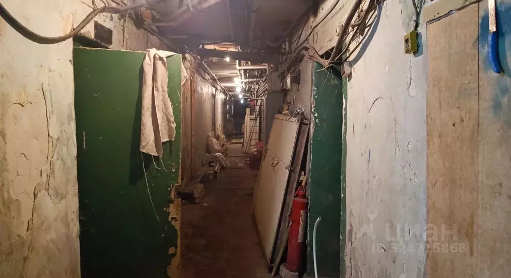 Помещение свободного назначения в Оренбургская область, Оренбург ул. ... - Фото 1