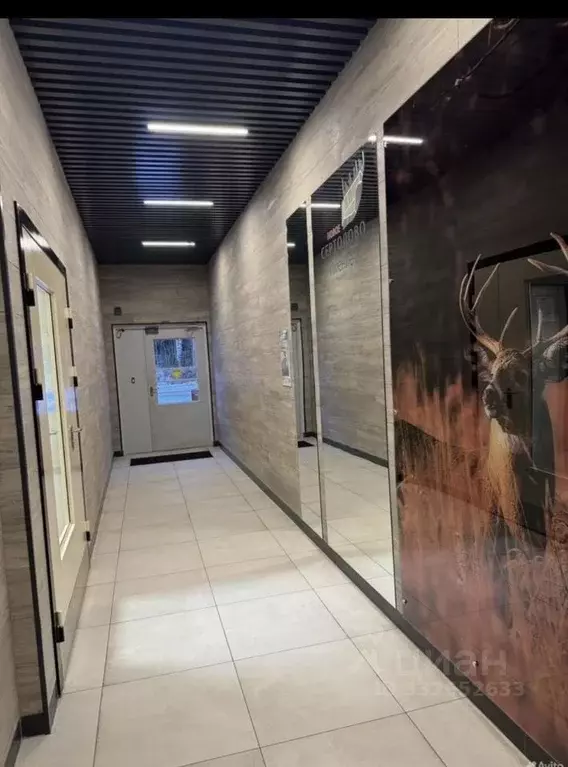 3-к кв. Ленинградская область, Сертолово Всеволожский район, ... - Фото 2