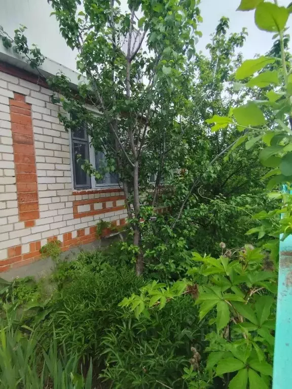 Дом в Саратовская область, Энгельсский район, Красноярское ... - Фото 1