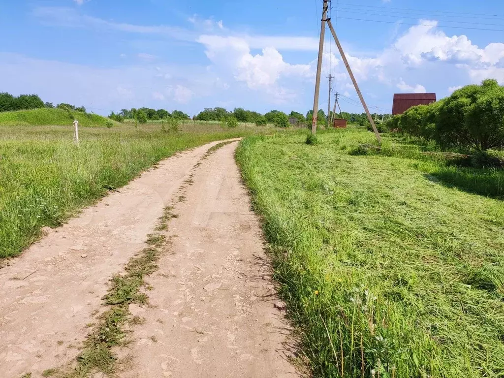 Участок в Новгородская область, Шимский район, д. Коростынь  (15.0 ... - Фото 1