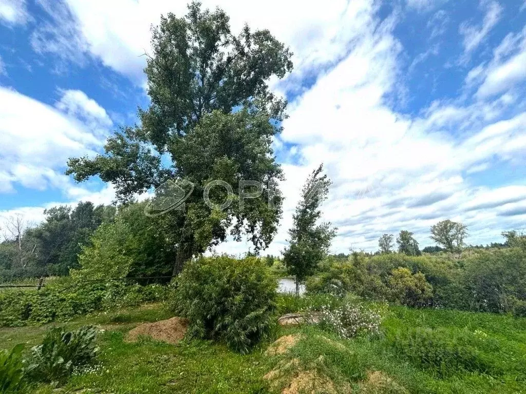 Участок в Тюменская область, Тюменский район, д. Речкина  (10.0 сот.) - Фото 1