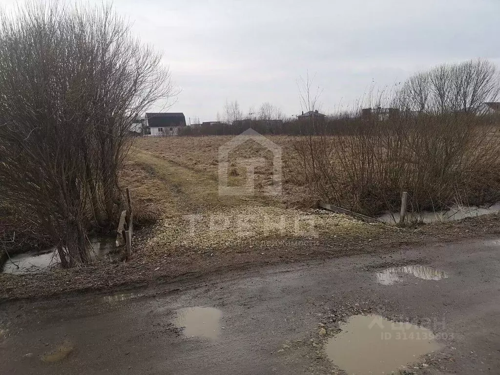 Участок в Санкт-Петербург, Санкт-Петербург, Петергоф ш. Ольгинское, ... - Фото 0