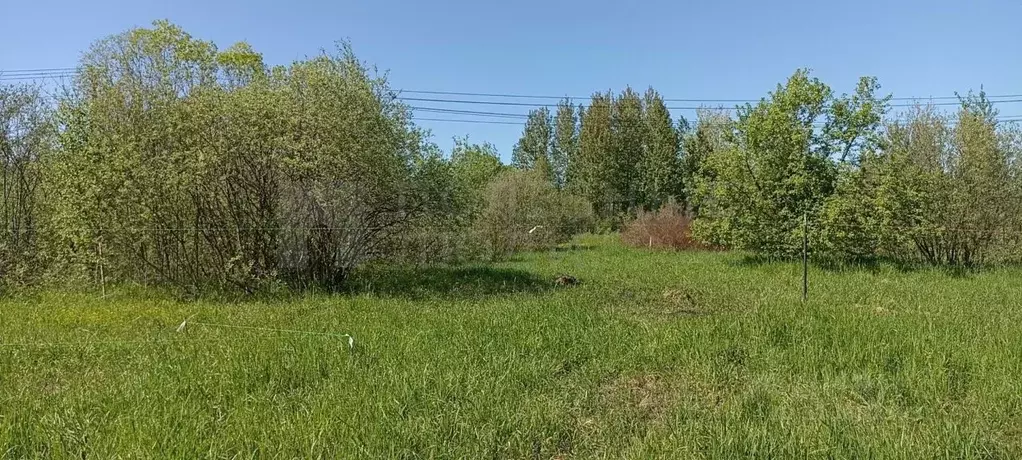 Участок в Новгородская область, Великий Новгород Озерная ул., 14к3 ... - Фото 1