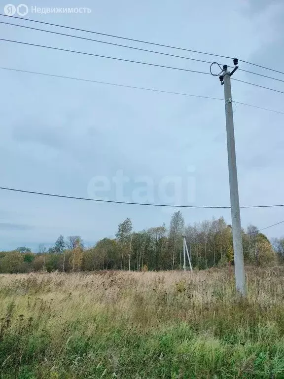 Участок в Тульская область, городской округ Тула, деревня Струково, ... - Фото 0