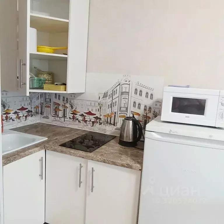 Студия Санкт-Петербург ул. Бабушкина, 84к2 (30.0 м) - Фото 2