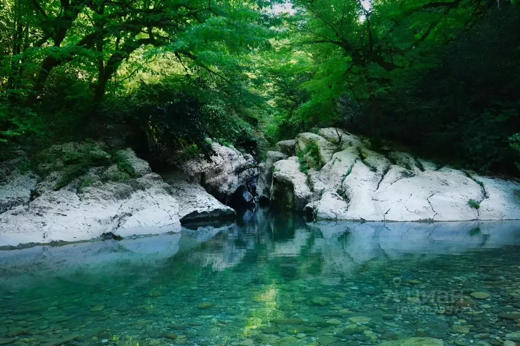 Участок в Краснодарский край, Сочи пл. Искусств (6.0 сот.) - Фото 1