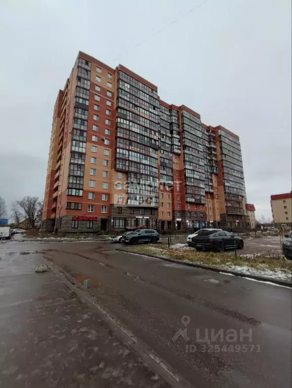 Студия Ленинградская область, Никольское Тосненский район, Советский ... - Фото 2