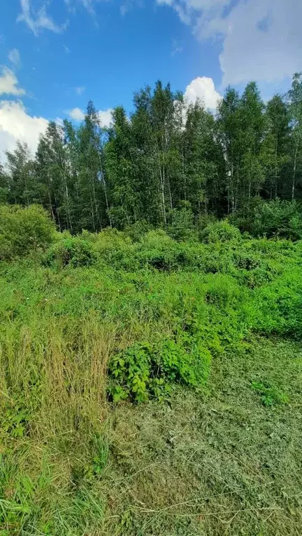 Участок в Новгородская область, Окуловский муниципальный район, ... - Фото 1