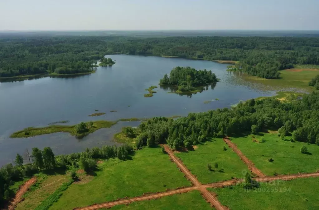 Участок в Новгородская область, Валдайский район, д. Костелево  ... - Фото 0