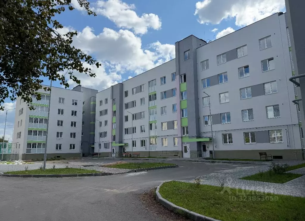 3-к кв. Нижегородская область, Бор пос. Октябрьский, ул. Молодежная, ... - Фото 2