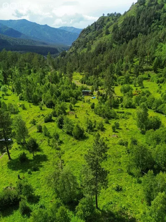 Участок в Чемальский район, Узнезинское сельское поселение, село ... - Фото 1