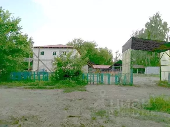 Производственное помещение в Брянская область, Стародуб ул. Семашко, ... - Фото 1