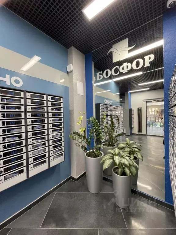 Студия Краснодарский край, Новороссийск ул. Матвейкина, 1Ак1 (27.0 м) - Фото 0