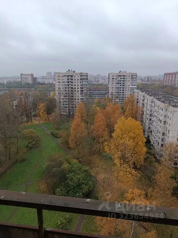 2-к кв. Санкт-Петербург просп. Космонавтов, 24 (55.7 м) - Фото 1