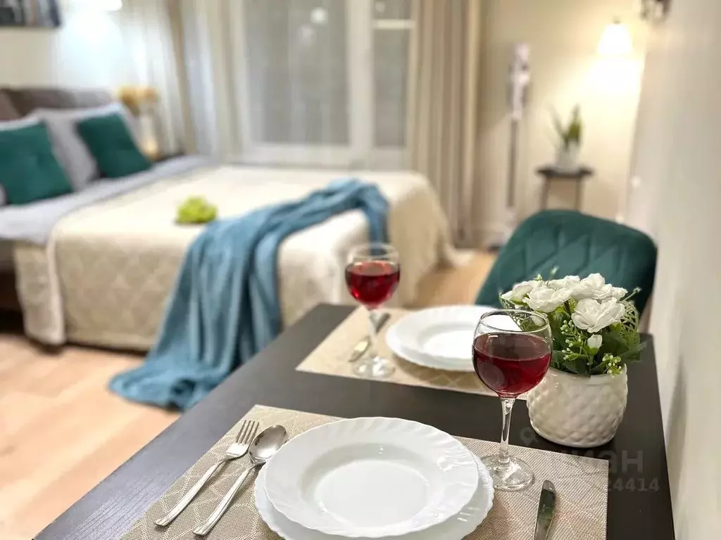 Студия Санкт-Петербург Комендантский просп., 57к1 (26.0 м) - Фото 1
