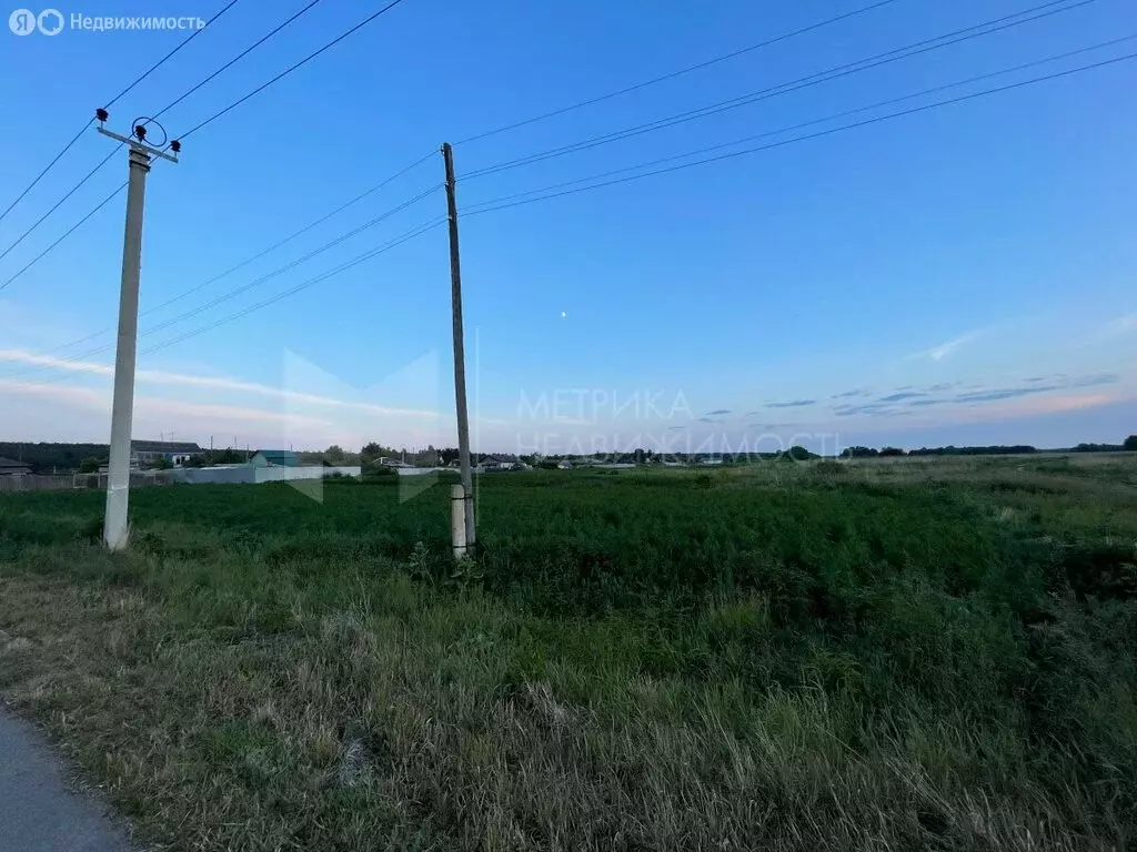 Участок в Тюменский район, деревня Насекина (15 м) - Фото 1