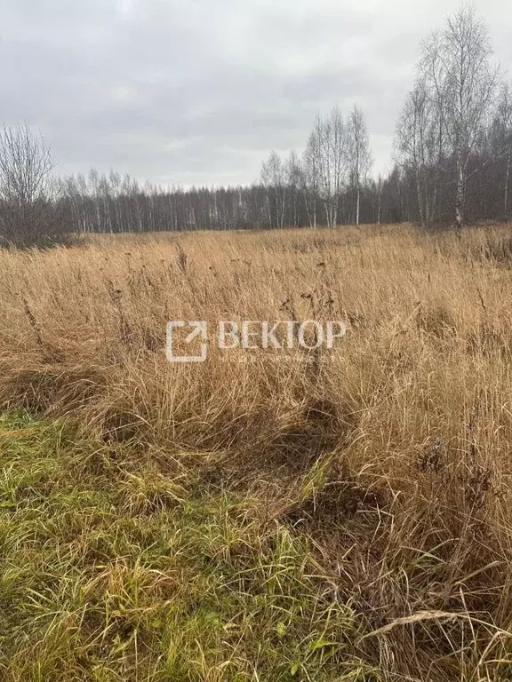 Участок в Костромская область, Костромской район, Бакшеевское с/пос, ... - Фото 2