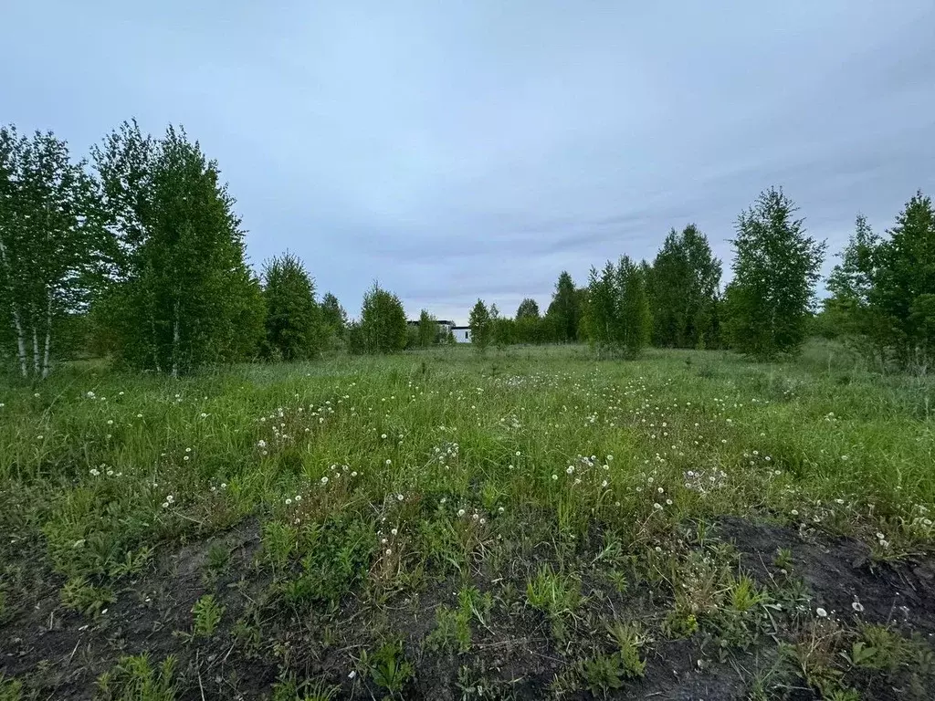 Участок в Новосибирская область, Новосибирский район, Барышевский ... - Фото 0