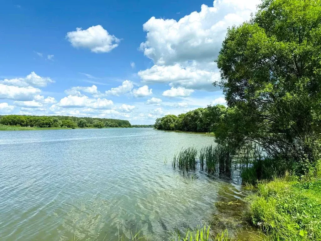 Участок в Московская область, Домодедово Барыбино мкр, ул. 3-я ... - Фото 2