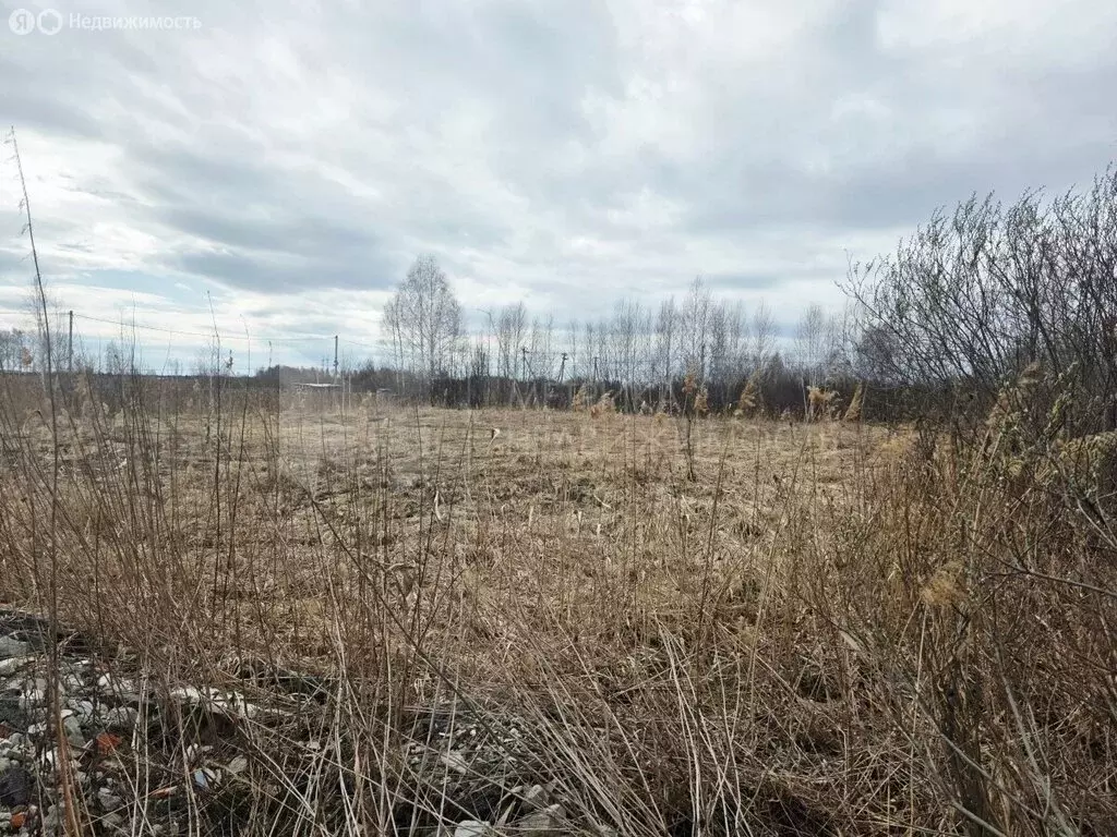 Участок в Тюмень, садовое товарищество Поле Чудес (4.86 м) - Фото 2