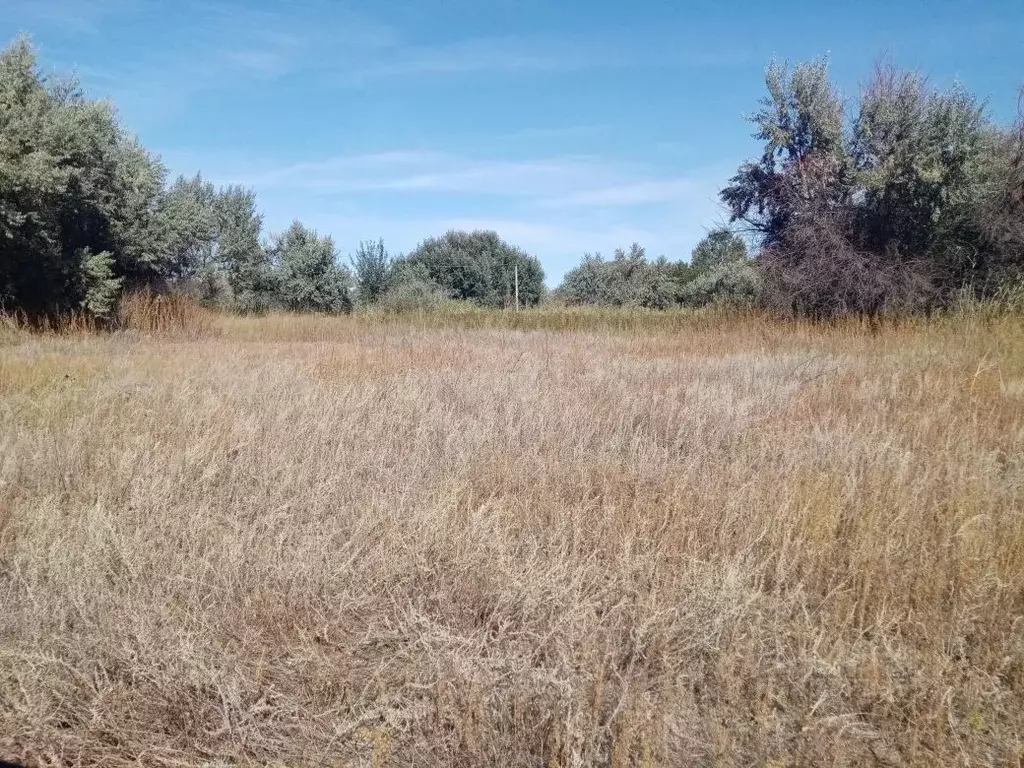 Участок в Волгоградская область, Среднеахтубинский район, Красное ... - Фото 0