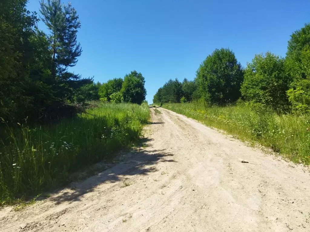 Участок в Тульская область, Ясногорский район, д. Белугино  (10.0 ... - Фото 0