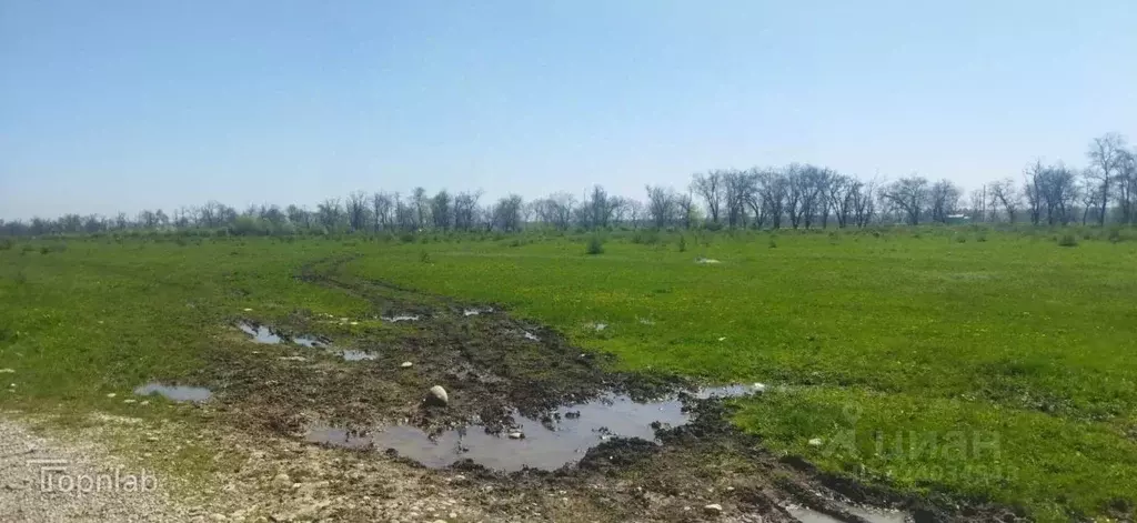 Участок в Кабардино-Балкария, Чегемский район, с. Нартан ул. Ленина ... - Фото 1