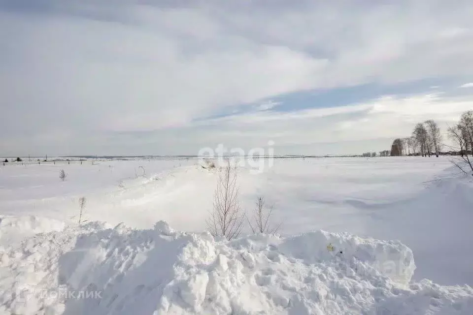 Участок в Татарстан, Тукаевский район, Малошильнинское с/пос, УК ... - Фото 1