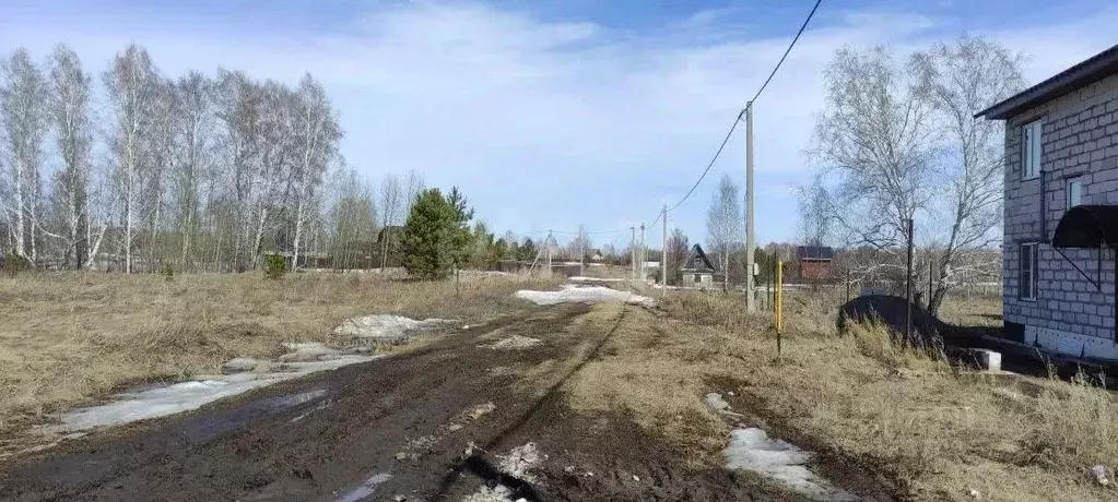 Участок в Алтайский край, Первомайский район, Моторостроитель-2 СТ  ... - Фото 2