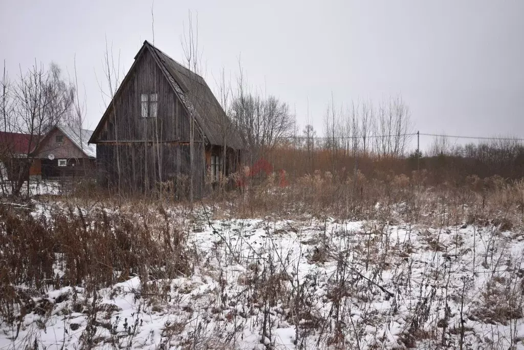 Участок в Владимирская область, Кольчугинский район, Раздольевское ... - Фото 0