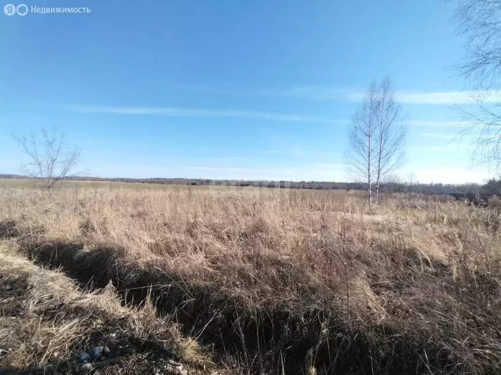 Участок в деревня Папулино, Новая улица (23 м) - Фото 1