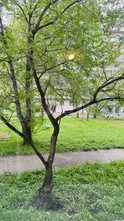 2-к. квартира, 50 м, 1/9 эт. - Фото 1